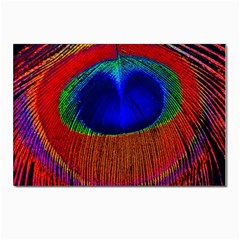 Peacock-feathers,blue 1 Postcards 5  X 7  (pkg Of 10) by nateshop