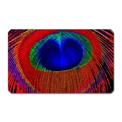 Peacock-feathers,blue 1 Magnet (rectangular) by nateshop