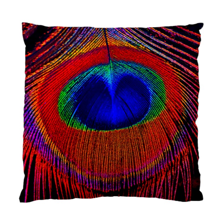 Peacock-feathers,blue 1 Standard Cushion Case (Two Sides)