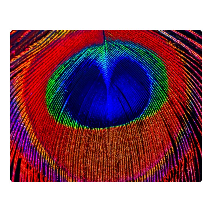 Peacock-feathers,blue 1 Premium Plush Fleece Blanket (Large)