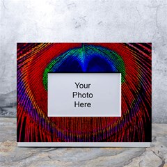 Peacock-feathers,blue 1 White Tabletop Photo Frame 4 x6  by nateshop