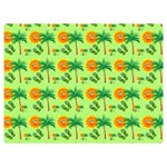 Summer Fun Pattern Two Sides Premium Plush Fleece Blanket (Extra Small) 40 x30  Blanket Front