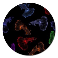 Vector Aquarium Guppies Seamless Fish Pattern With Black Background Magnet 5  (round) by Grandong