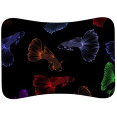 Vector Aquarium Guppies Seamless Fish Pattern With Black Background Velour Seat Head Rest Cushion by Grandong