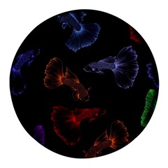 Vector Aquarium Guppies Seamless Fish Pattern With Black Background Round Glass Fridge Magnet (4 Pack) by Grandong