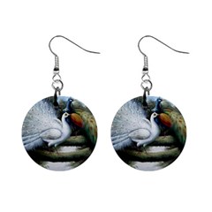 Canvas Oil Painting Two Peacock Mini Button Earrings by Grandong