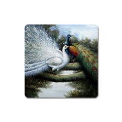 Canvas Oil Painting Two Peacock Square Magnet by Grandong