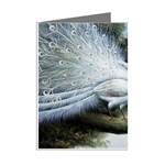 Canvas Oil Painting Two Peacock Mini Greeting Cards (Pkg of 8) Right