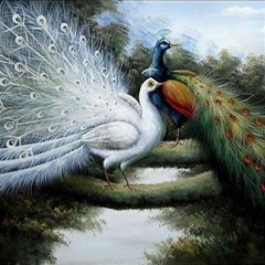 Canvas Oil Painting Two Peacock Play Mat (square) by Grandong