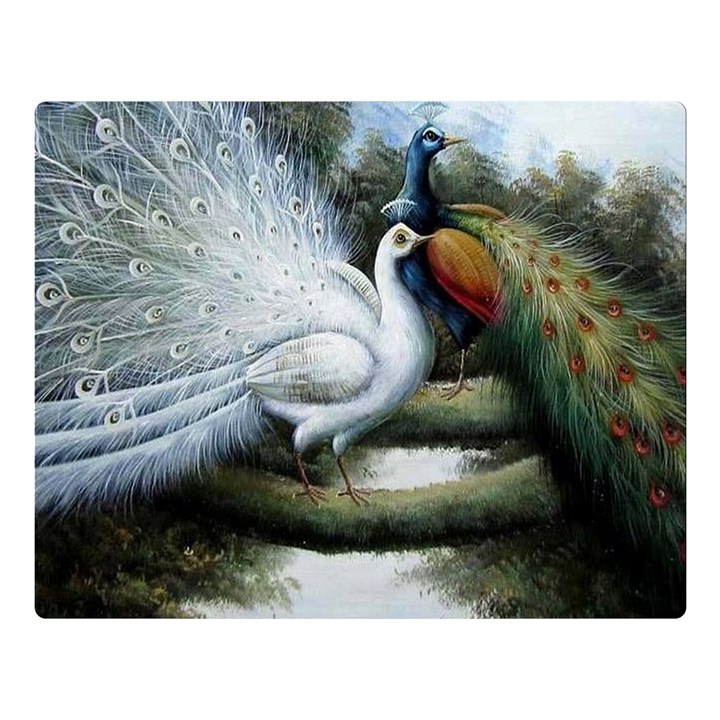 Canvas Oil Painting Two Peacock Two Sides Premium Plush Fleece Blanket (Large)