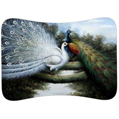 Canvas Oil Painting Two Peacock Velour Seat Head Rest Cushion by Grandong