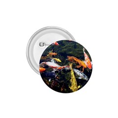 Koi Pond 3d Fish 1 75  Buttons by Grandong