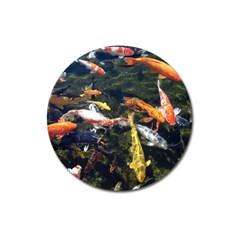 Koi Pond 3d Fish Magnet 3  (round) by Grandong