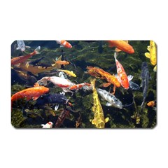 Koi Pond 3d Fish Magnet (rectangular) by Grandong