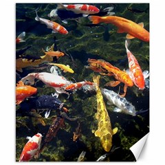 Koi Pond 3d Fish Canvas 8  X 10  by Grandong