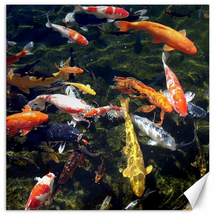 Koi Pond 3d Fish Canvas 16  x 16 