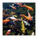 Koi Pond 3d Fish Medium Glasses Cloth (2 Sides) Front