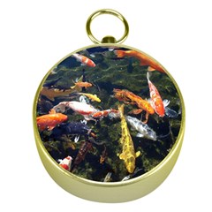 Koi Pond 3d Fish Gold Compasses by Grandong