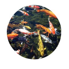 Koi Pond 3d Fish Mini Round Pill Box (pack Of 3) by Grandong