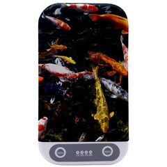 Koi Pond 3d Fish Sterilizers by Grandong