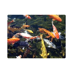 Koi Pond 3d Fish Premium Plush Fleece Blanket (mini) by Grandong