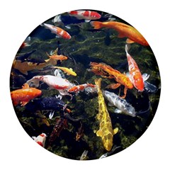 Koi Pond 3d Fish Round Glass Fridge Magnet (4 Pack)