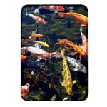 Koi Pond 3d Fish Rectangular Glass Fridge Magnet (4 pack) Front