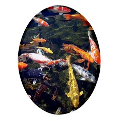 Koi Pond 3d Fish Oval Glass Fridge Magnet (4 Pack)