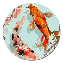 Koi Fish Magnet 5  (round)