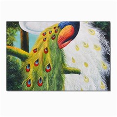 Peacock Art Postcard 4 x 6  (pkg Of 10)