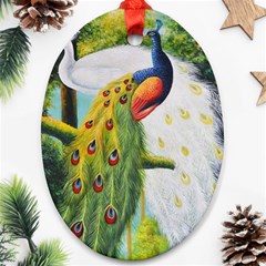 Peacock Art Oval Ornament (two Sides)