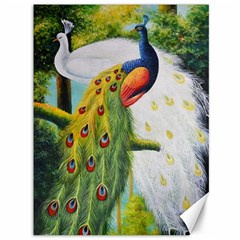 Peacock Art Canvas 36  X 48  by Grandong