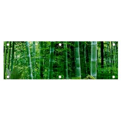 Bamboo Forest Squid Family Banner And Sign 6  X 2  by Grandong