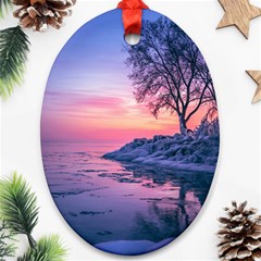 Tree Nature Plant Outdoors Ice Toronto Scenery Snow Ornament (oval) by uniart180623