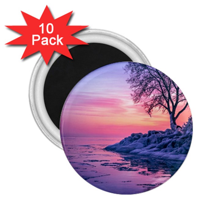 Tree Nature Plant Outdoors Ice Toronto Scenery Snow 2.25  Magnets (10 pack) 