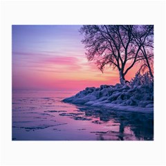 Tree Nature Plant Outdoors Ice Toronto Scenery Snow Small Glasses Cloth