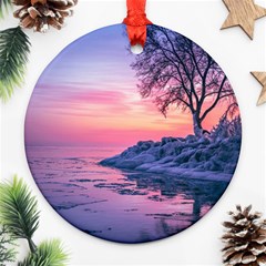 Tree Nature Plant Outdoors Ice Toronto Scenery Snow Round Ornament (two Sides) by uniart180623