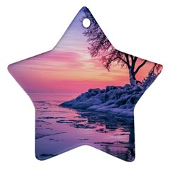 Tree Nature Plant Outdoors Ice Toronto Scenery Snow Star Ornament (two Sides) by uniart180623