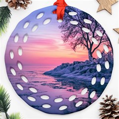 Tree Nature Plant Outdoors Ice Toronto Scenery Snow Round Filigree Ornament (two Sides) by uniart180623