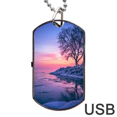 Tree Nature Plant Outdoors Ice Toronto Scenery Snow Dog Tag Usb Flash (two Sides)