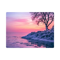 Tree Nature Plant Outdoors Ice Toronto Scenery Snow Premium Plush Fleece Blanket (mini) by uniart180623