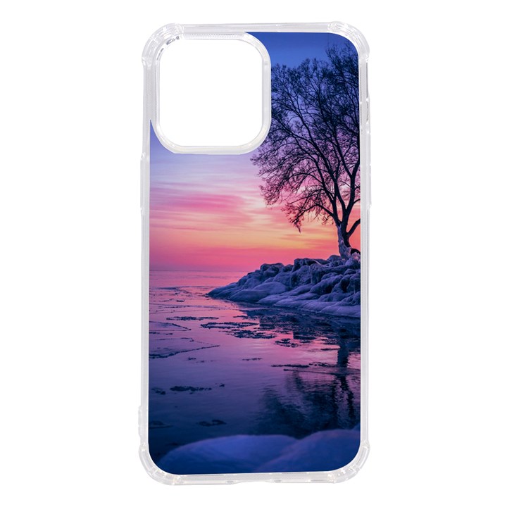 Tree Nature Plant Outdoors Ice Toronto Scenery Snow iPhone 14 Pro Max TPU UV Print Case