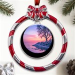 Tree Nature Plant Outdoors Ice Toronto Scenery Snow Metal Red Ribbon Round Ornament Front