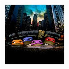 Teenage Mutant Ninja Turtles Leonardo Raphael Michelangelo Donatello Medium Glasses Cloth by Sarkoni