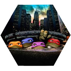 Teenage Mutant Ninja Turtles Leonardo Raphael Michelangelo Donatello Wooden Puzzle Hexagon by Sarkoni