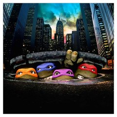 Teenage Mutant Ninja Turtles Leonardo Raphael Michelangelo Donatello Lightweight Scarf  by Sarkoni