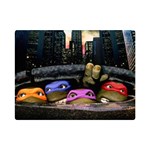 Teenage Mutant Ninja Turtles Leonardo Raphael Michelangelo Donatello Premium Plush Fleece Blanket (Mini) 35 x27  Blanket Front