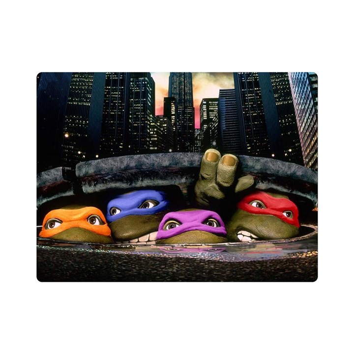 Teenage Mutant Ninja Turtles Leonardo Raphael Michelangelo Donatello Premium Plush Fleece Blanket (Mini)