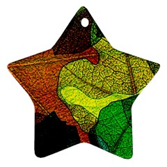 Colorful Autumn Leaves Texture Abstract Pattern Ornament (star) by Grandong