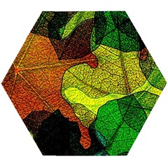 Colorful Autumn Leaves Texture Abstract Pattern Wooden Puzzle Hexagon by Grandong